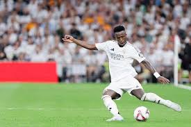 场的布局 场的布局